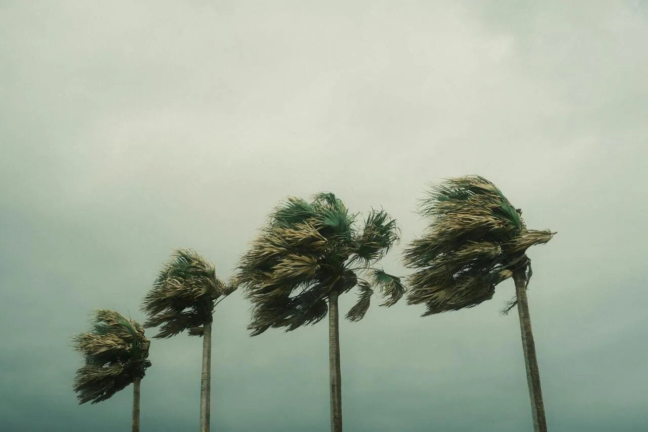 Protocolo de Emergencia Sanitaria Activado en México Ante Tormenta Tropical Ileana
