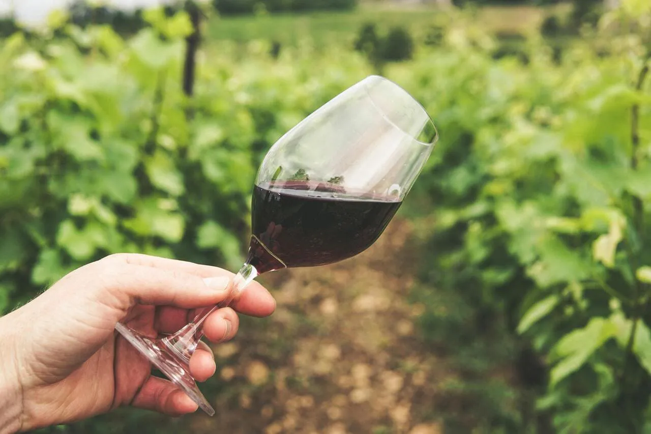 Disfruta de Aire Tinto, el Festival de Vino en Val’Quirico